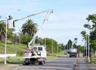 El Municipio licita la compra de 600 luminarias LED para reforzar el alumbrado público