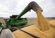 Primer Cuatrimestre. La recaudación por retenciones cayó 37% en dólares