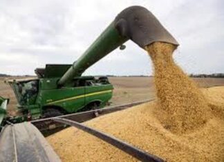 Primer Cuatrimestre. La recaudación por retenciones cayó 37% en dólares