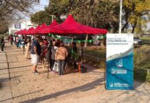La “Feria en tu Barrio” llega con alimentos saludables y opciones sin TACC