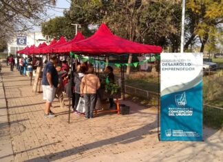 La “Feria en tu Barrio” llega con alimentos saludables y opciones sin TACC
