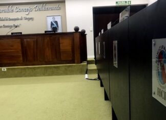 Mayorías, minorías y decisiones. Lo que un concejal puede (y no puede) hacer
