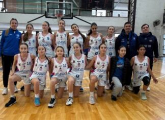 Las Infantiles de Parque Sur jugarán la Copa de Oro provincial.