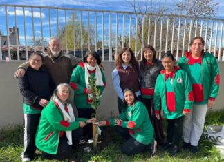 Plantan árboles en los Jardines Municipales para fortalecer la educación ambiental