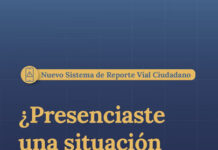 Habilitan una línea de WhatsApp para denunciar infracciones y violencia vial