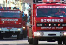 Sirenas y caravana: así fue el cierre de la Expo Bomberos en Concepción