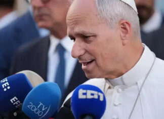 El Papa afirmó que la lucha contra los abusos es una responsabilidad de toda la Iglesia