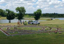 Realizan tareas de mantenimiento en el laberinto vegetal del Parque de la Ciudad