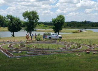 Realizan tareas de mantenimiento en el laberinto vegetal del Parque de la Ciudad