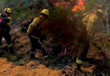 Un incendio forestal consumió cerca de 200 hectáreas en Cafayate y preocupa su avance