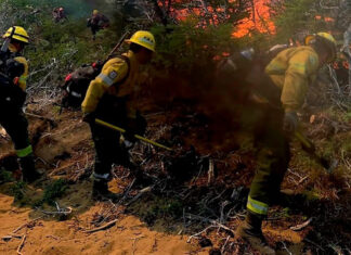 Un incendio forestal consumió cerca de 200 hectáreas en Cafayate y preocupa su avance
