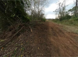 Abren una investigación por trabajos en un sector de monte nativo de Paso Vera