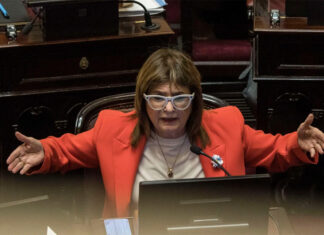 El conflicto entre Bullrich y el Gobierno impacta en el Senado