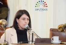 Laner defendió la reforma previsional y aseguró que preserva el 82% móvil.
