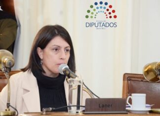 Laner defendió la reforma previsional y aseguró que preserva el 82% móvil.