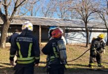 Rápido accionar evitó daños mayores tras un incendio en una granja avícola.