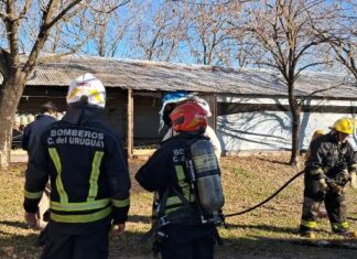 Rápido accionar evitó daños mayores tras un incendio en una granja avícola.