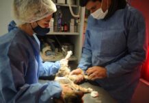 El Castramóvil continúa atendiendo en el barrio 150 Viviendas