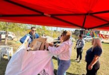Escuelas y Municipio impulsaron una acción ambiental por el Día del Ambiente