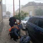 mantenimiento y poda – arbolado (3)