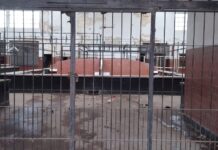 Buscan transformar el Mercado en un nuevo polo urbano.