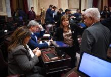 El Senado volvió a postergar la ley de propiedad privada