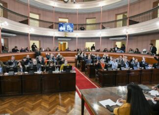 Diputados dio media sanción al proyecto de alivio fiscal para pequeños comerciantes