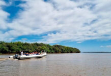 Vacaciones de invierno: tres días de naturaleza y recreación en el Parque Islas y Canales Verdes