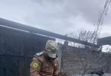Operativos rurales: secuestraron 14 armas, detuvieron a dos personas y rescataron fauna silvestre