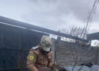 Operativos rurales: secuestraron 14 armas, detuvieron a dos personas y rescataron fauna silvestre