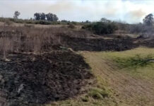 Sofocaron un incendio en el oeste de la ciudad