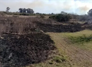 Sofocaron un incendio en el oeste de la ciudad