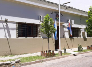Operativo por presunto maltrato infantil: una mujer quedó detenida tras agredir a una policía