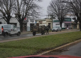 Un caballo desbocado sembró el pánico en Concepción del Uruguay