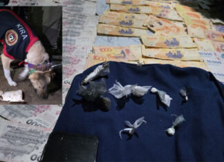 Tres detenidos y droga secuestrada tras una serie de allanamientos en Concordia