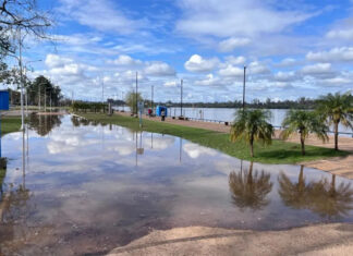 Prevén una nueva crecida del río Uruguay