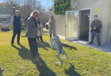 RUS avanza en el desarrollo de seguros para robots humanoides y apuesta a la innovación tecnológica