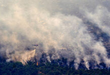 Histórico incendio forestal en España: ya arrasó unas 50.000 hectáreas