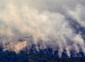 Histórico incendio forestal en España: ya arrasó unas 50.000 hectáreas