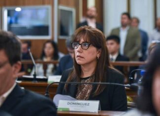 Domínguez defendió la reforma previsional y pidió actuar antes de que sea tarde