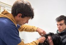 Última semana del Castramóvil en el 192 Viviendas