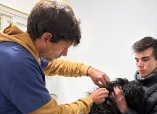 Última semana del Castramóvil en el 192 Viviendas