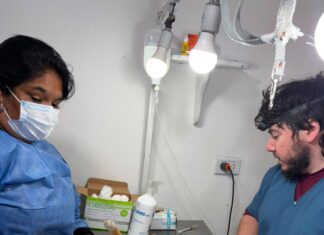 El Castramóvil seguirá atendiendo en el barrio Matadero