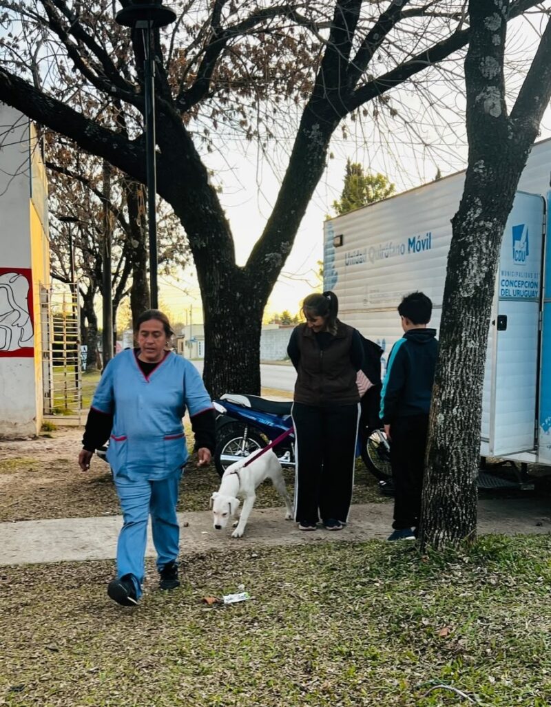 El Castramóvil seguirá atendiendo en el barrio Matadero