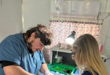 El Castramóvil llega a Villa Itapé y continúa con las castraciones gratuitas