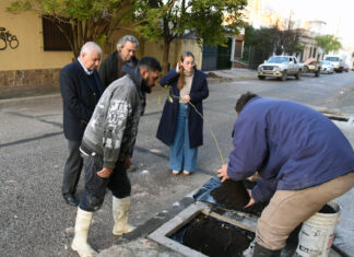Avanza la plantación de 100 nuevos árboles en la ciudad