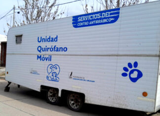 Cerca Tuyo: el tráiler sanitario y el Castramóvil llegan al barrio Matadero