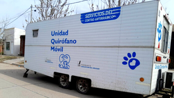 cerca tuyo