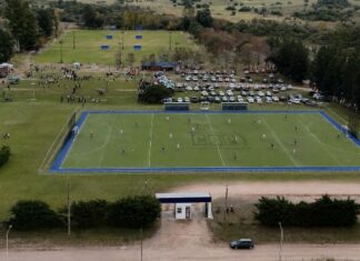El sueño del sintético empieza a hacerse realidad