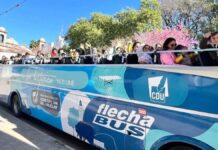 Presentaron una agenda con actividades gratuitas para toda la familia